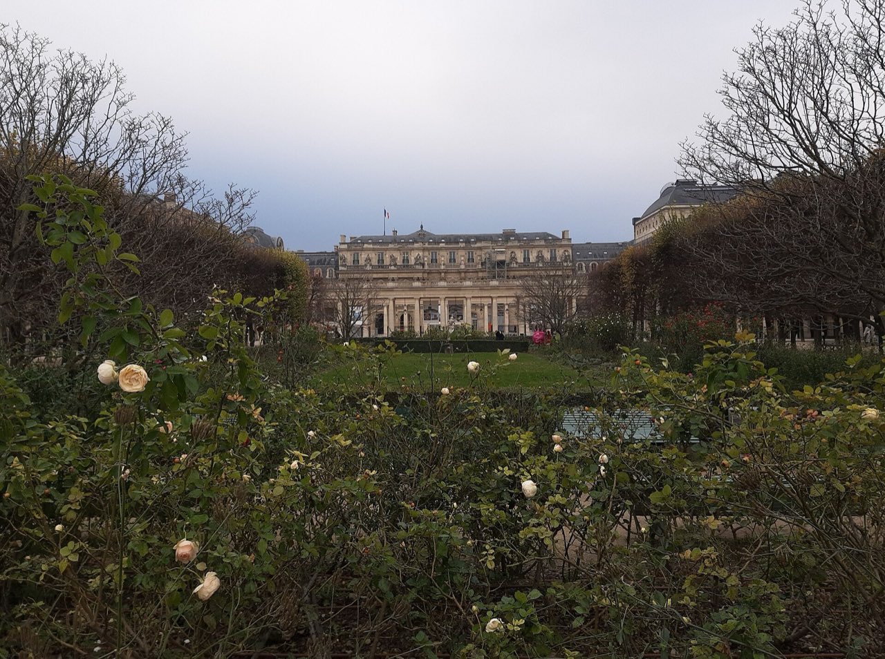 Palais-Royal